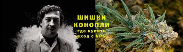 крисы Абаза