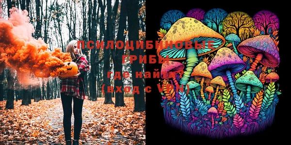 PSILOCYBIN Абинск