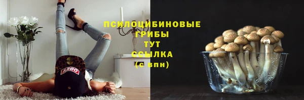 PSILOCYBIN Абинск