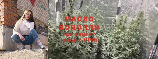 крисы Абаза