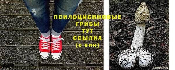крисы Абаза