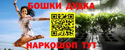 Альфа ПВП Сланцы