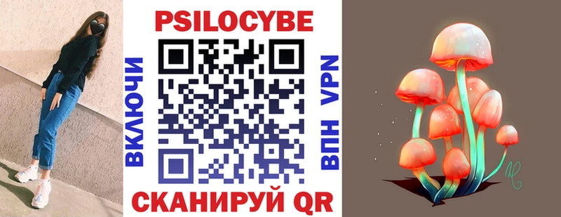 Галлюциногенные грибы прущие грибы  Шебекино 