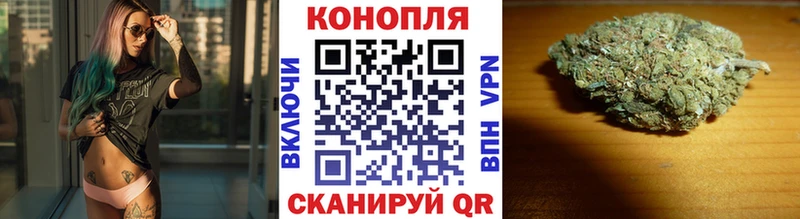 купить наркоту  Шебекино  кракен зеркало  Марихуана OG Kush 