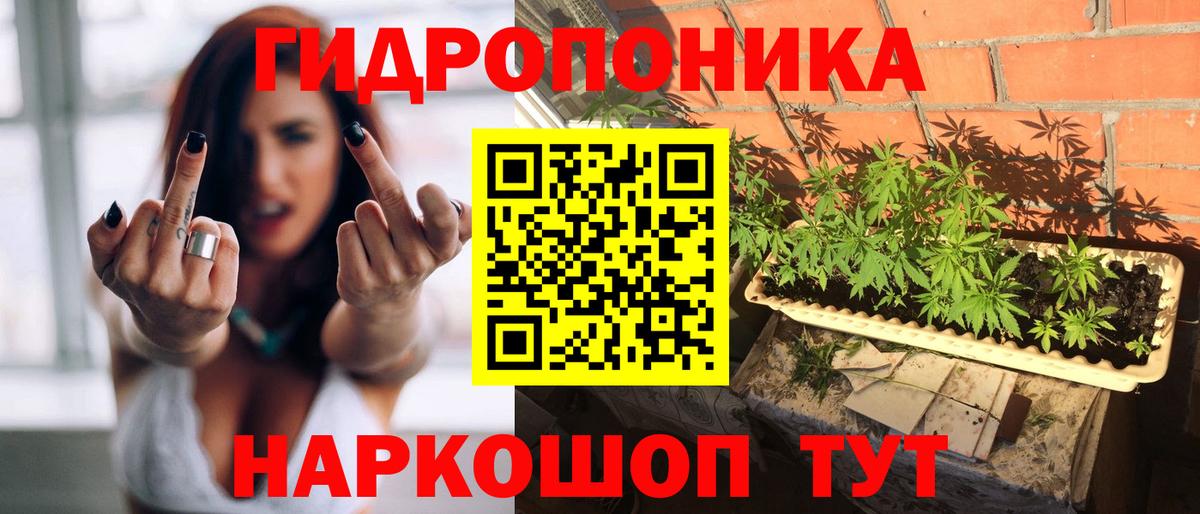 Шишки марихуана OG Kush Шебекино
